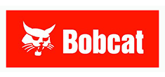 Bobcat